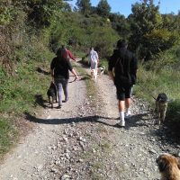 IMG_20201006_113458